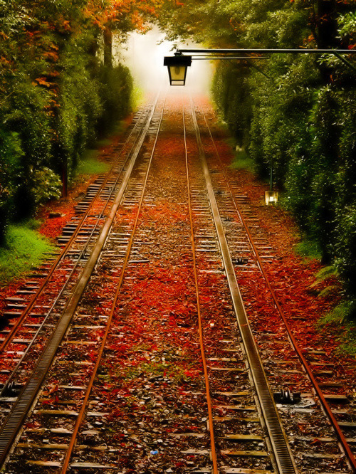 Autumn Railroad Tracks, Pennsylvania