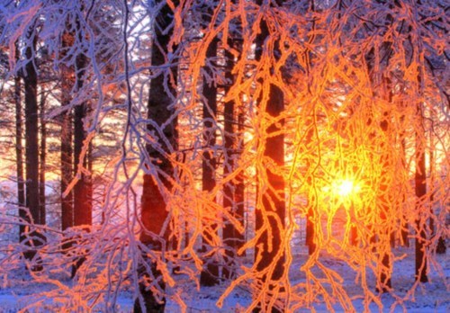 Snowy Sunset, Finland