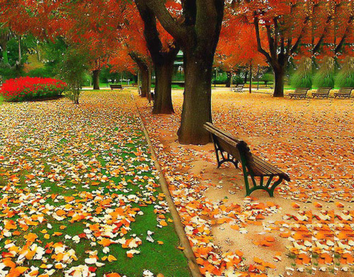Change of Seasons, Olympia, Washington