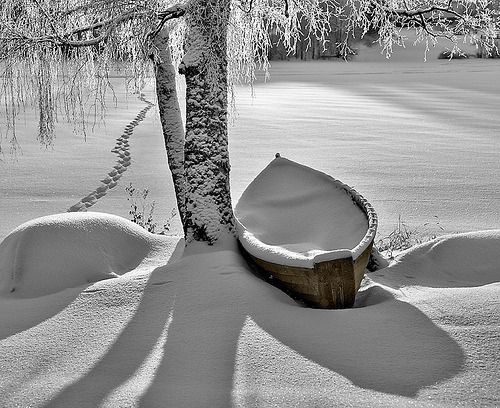 Snow Covered Lake, Stevens Point, Wisconsin