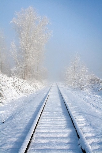 Snow Tracks, Ashland, Oregon