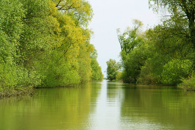 by teocf on Flickr.Danube Delta - the second largest in Europe, a biosphere reserve and a World Heritage Site in Romania.