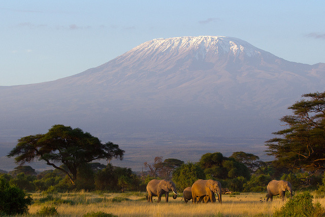 by f_r_e on Flickr.Mount Kilimanjaro