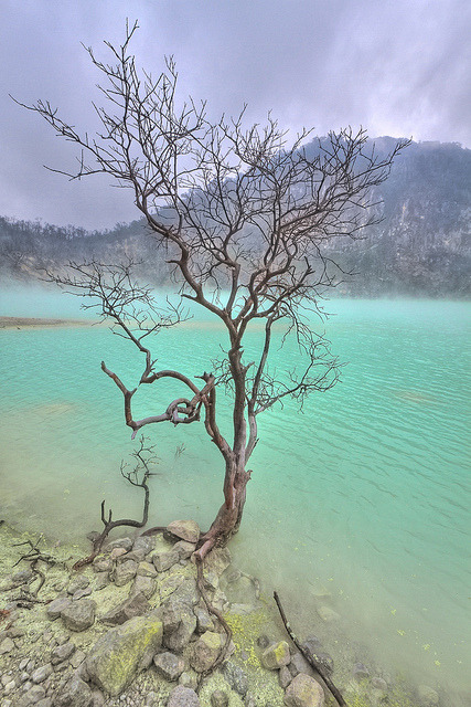by Venerdi Pictures on Flickr.Kawah Putih crater lake , Patuha Volcano, Indonesia.
