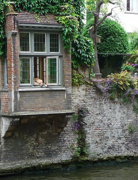 River Watcher, Bruges, Belgium