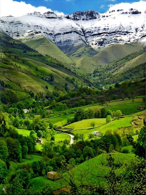 Green Valley, The Pyrenees, Cantabria, Spain