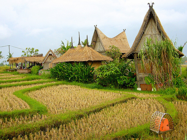 by I Prahin on Flickr.Rice fields at Desa Seni Resort, Canngu Bali. Near Seminyak, Indonesia.
