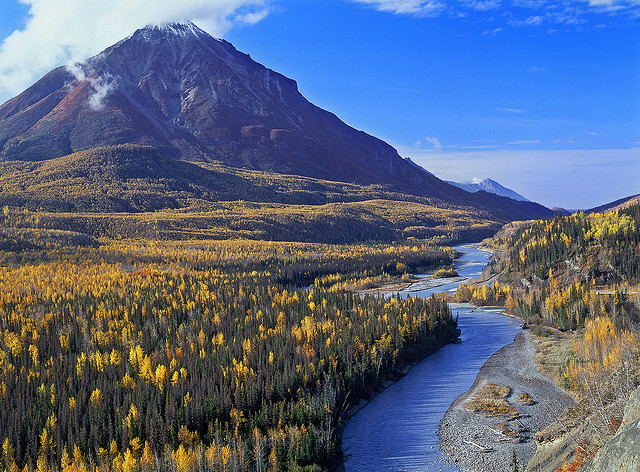 by Landscape Images by David Shield on Flickr.Autumn has come to Matanuska-Susitna Valley. in Alaska, USA.