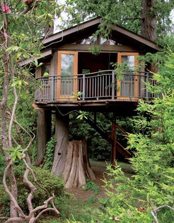 Tree House, Marin, California
