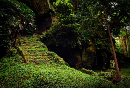 Mossy Stairs, Matsushima, Japan
