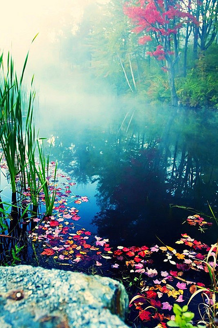 Misty Pond, Stowe, Vermont