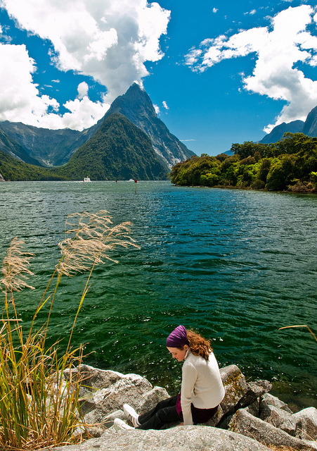 Relaxing spot in Milford Sound, New Zealand