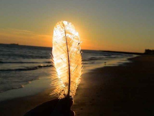 Feather Sunset, Normandy, France