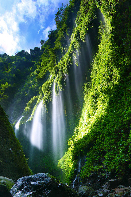 Madakaripura Waterfall in East Java, Indonesia
