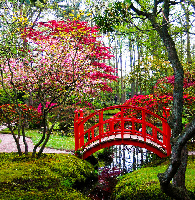 Japanese garden in Clingendael Park, The Hague, Netherlands