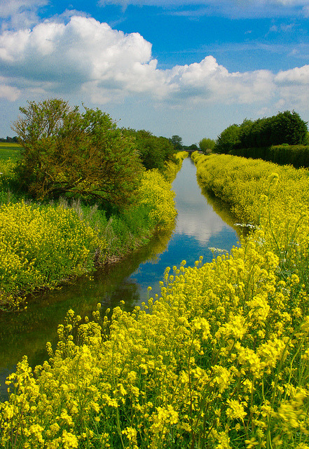 Louth Canal walk in Lincolnshire, England