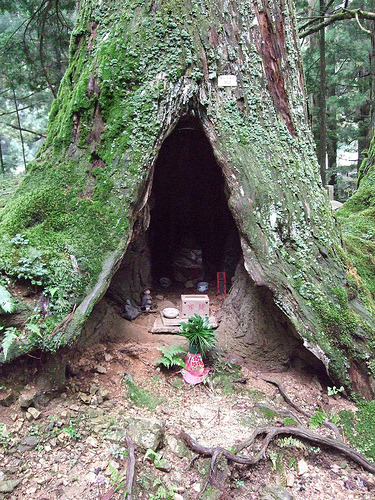 Tree House Shrine, Mt. Koya, Japan