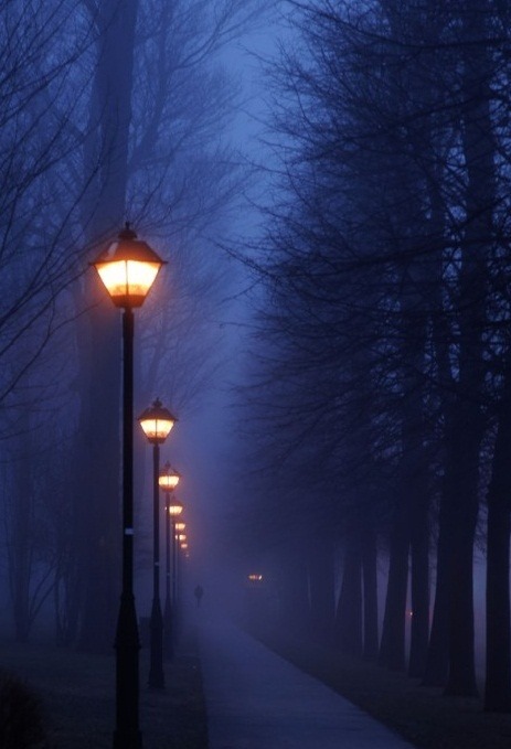 Fog, Paris, France