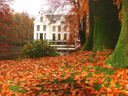 Autumn House, Staverden, Netherlands