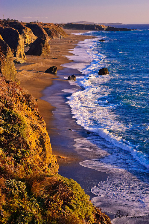 Pacific Coast, Sonoma County, California