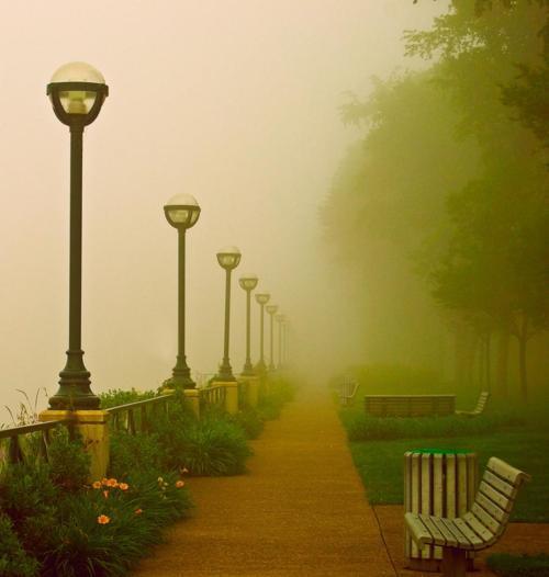 Foggy Path, London, England