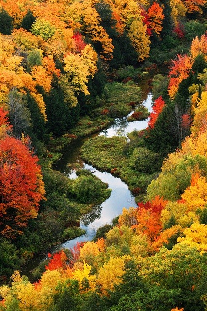 Autumn, Porcupine Mountains, Michigan