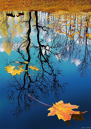 Autumn Reflection, Russian Federation