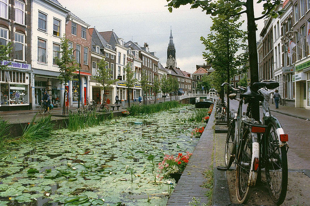 Stagnant canal with lily pads in Delft, Netherlands