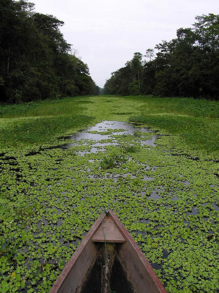 Amazon River, Brazil.