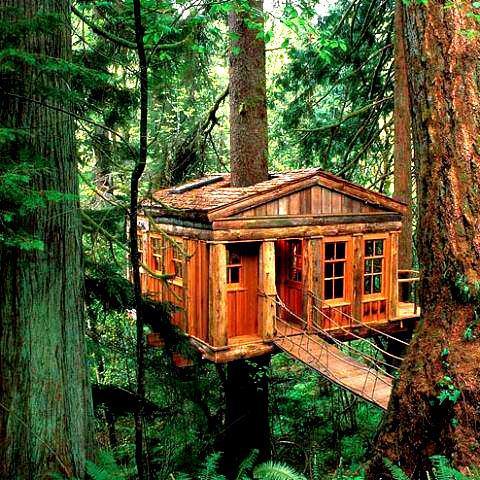 Treehouse, Port Washington, Oregon