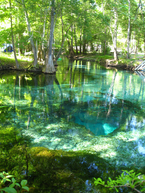 Turquoise Pool, Ginnie Springs, Florida