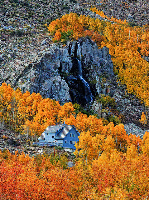 Autumn colors in Eastern Sierras, California, USA