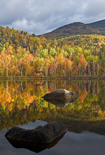 Adirondack Autumn, New York, USA