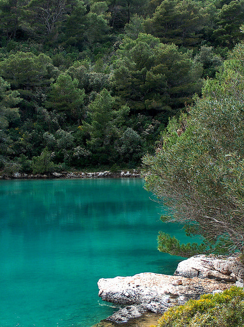 Turqoise waters of Veliko Jerzero in Mljet Island, Croatia