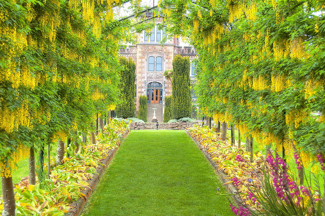 The gardens of Larnach Castle in Dunedin, New Zealand