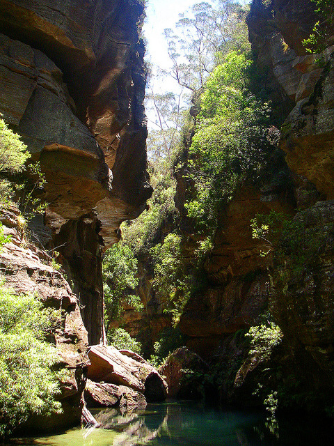 Wollangambe Canyon in Blue Mountains National Park, Australia