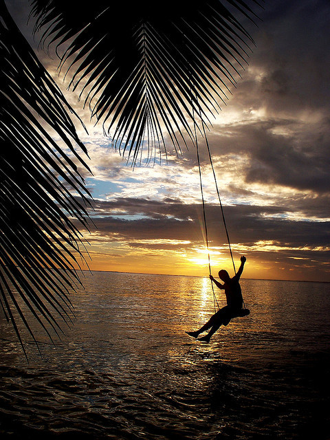 Palm tree swing above the sea at The Beach House, Fiji