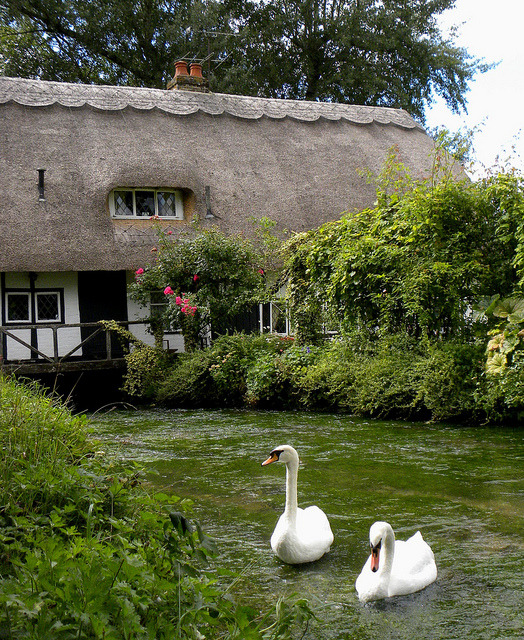The Fulling Mill in Alresford, Hampshire / England